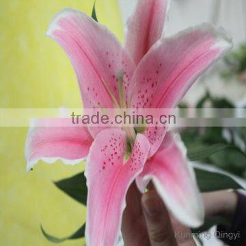 Best Quality Sell Chinese Fresh Cut Color Lily photo-6