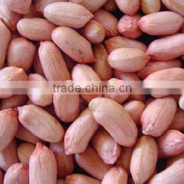 chinese peanut kernels 24/28 28/32 34/38