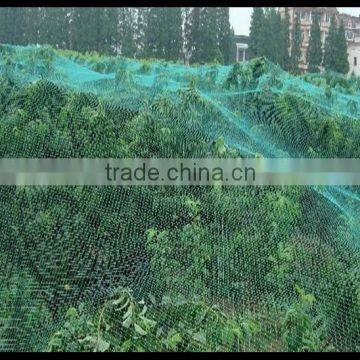 Economy Anti-bird Nets For Crop Protection