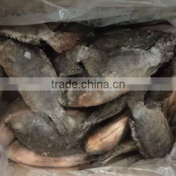 Frozen Tilapia W/R 300-500g photo-3