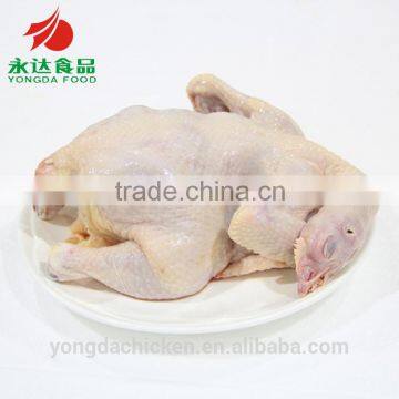 Halal Quality Chicken the Whole Chicken photo-2