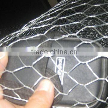 Anping Hexagonal Mesh/Poultry Netting/Chicken Wire (Factory) photo-6