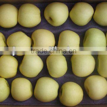 New Juicy golden apple