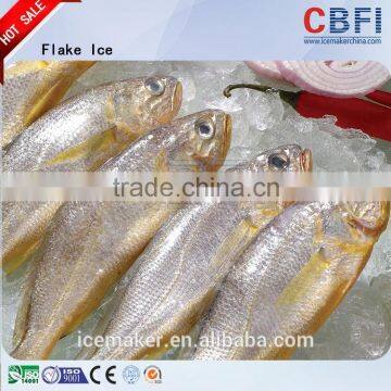 China Top 1 Flake Ice Manufacturer Factory Price Ice Maker photo-6