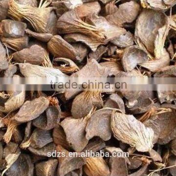 palm oil kernel shell is good biofuel