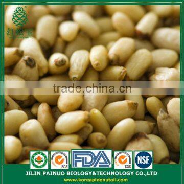 Bulk Direct Manufacturer Organic Red Pine Nut Kernels