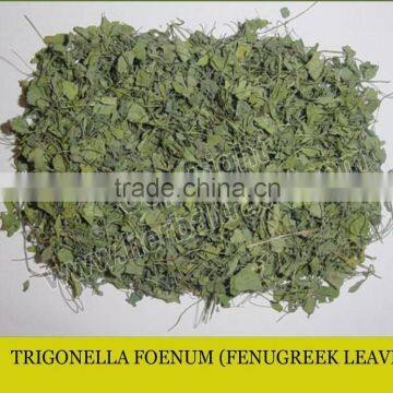 FENUGREEK LEAVES