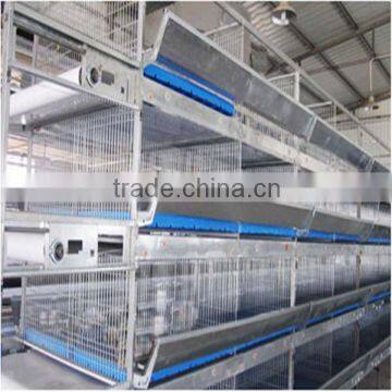 galvanized welded wire layer poultry chicken for sale
