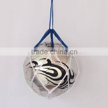 Ball carrying net