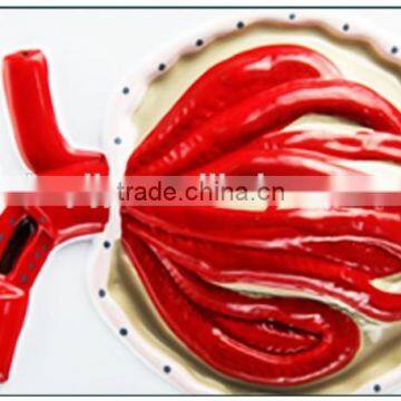 Nephron, Renal Corpuscle Model Demonstration Teaching Biological Science Instruments for Middle School Students photo-4