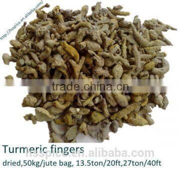 dry turmeric finger