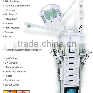 Skin Lifting For Skin Care Manufacturer Supply Pigmentinon Removal 19 In 1 Multifunctional Beauty Equipment