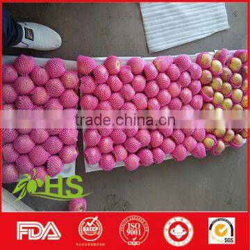 Fresh Fuji Apple Fruit for Sale From China Wholesale Distributors photo-3