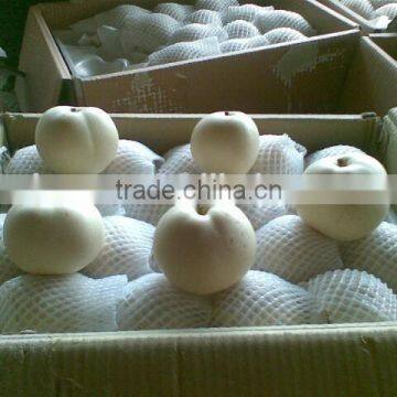 2015 Chinese Wholesale Fresh Pears for Sale photo-6