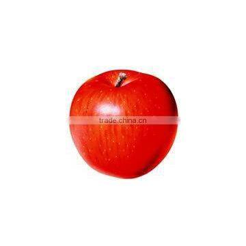 Fuji apple with High sugar content