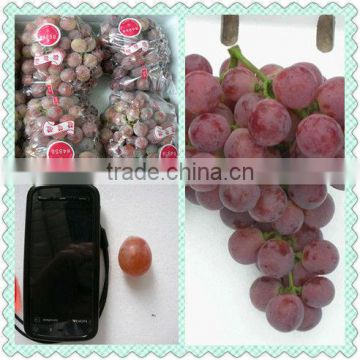 Fresh fruits of Red global grape