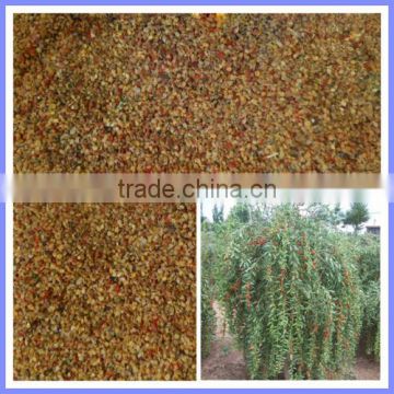 Ningxia Goji Berry Seeds Wolfberry Seeds-The Best Quality Promised From Ningxia Academy Of Agricultural Sciences