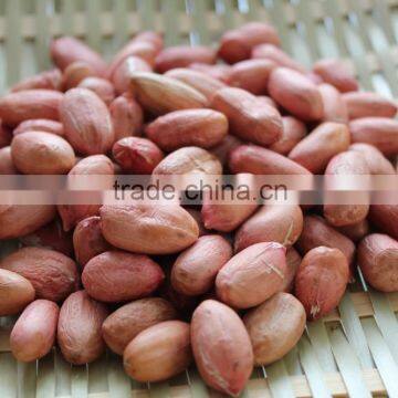 New Crops Red Skin Peanut Kernel photo-4