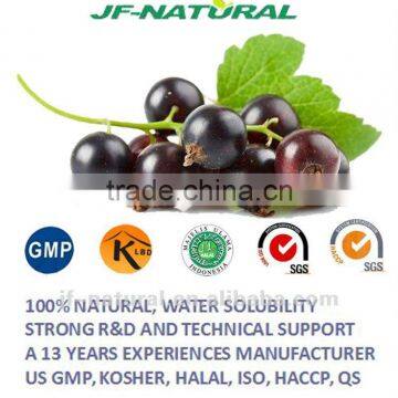 100% natural fruit concentrate powder black currant powder