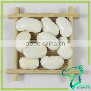 New Crop Large Type White Organic Beans