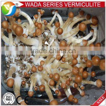 Good quality growing medium vermiculite for soil aeration