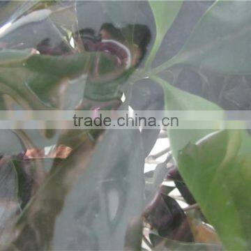100% New Material UV Resistant Clear Plastic Protective Film for Agricultural photo-2