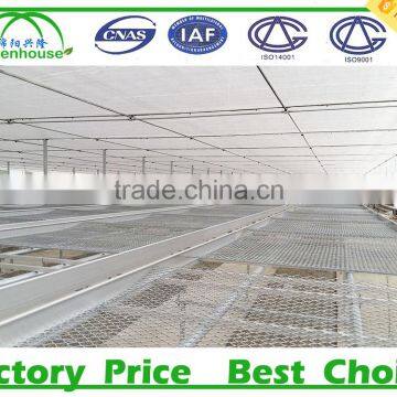 Nursery Plants Polycarbonate Sheet Greenhouse photo-5