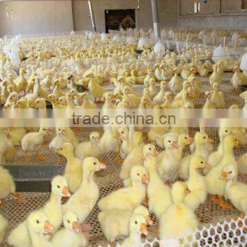 Best Price!! HDPE Construction Safety Net/construction Safety Net/Plastic Net Plastic Flat Mesh