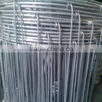 24 Years' Factory Supply Cattle Farm Fence photo-3