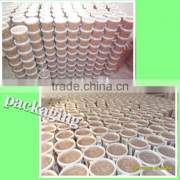 Dried Mealworms With Best Quality and Reseasonable Price photo-6