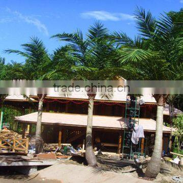 Wholesale Various Fake Landscaping Plants for Decking Decoration photo-3