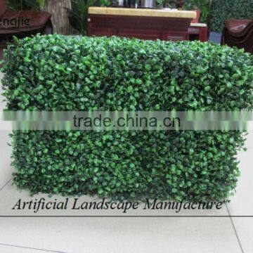 Indoor Artificial Plastic Boxwood Hedge for Decoration photo-6