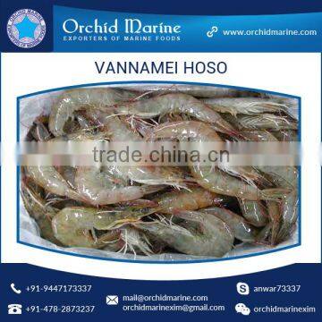 High Grade Hygienically Processed Frozen Vannamei Shrimps Price photo-4