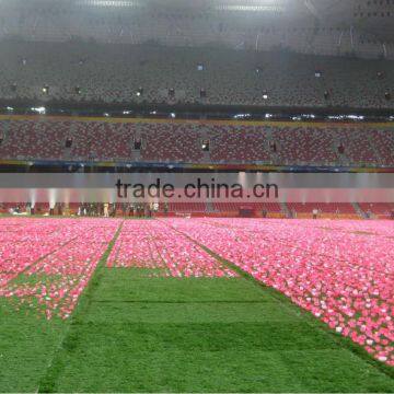 Artificial Grass for Beijing Paralympic Games