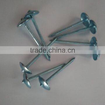 Blue Galvanized Roofing Nails to Indonesia photo-4