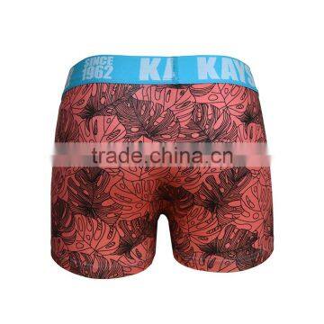 On Sale Customized Image Sexy Men's Boxer Brief Underwear photo-3
