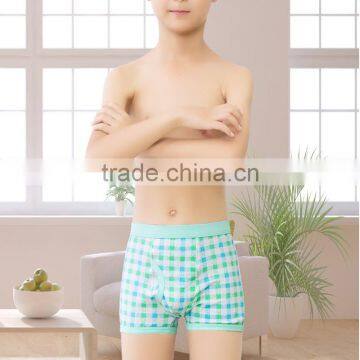 95% Cotton5%spandex Printed Boys Underwear / Children Underwear photo-5