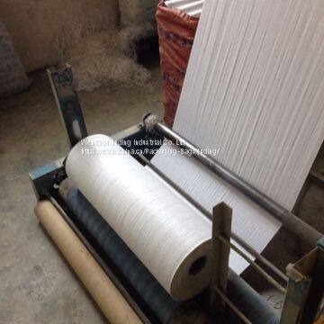 Bopp pp Woven Bag photo-3