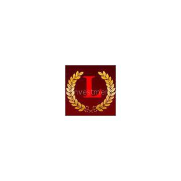 Shanghai DMIPS Investment Co., Ltd