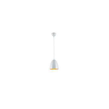 Hanging Pendant lamp celling lighting metal shade E26 painting