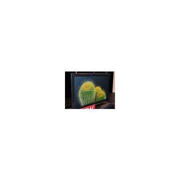 Panasonic TH-P50VT2 new 3D HD TV