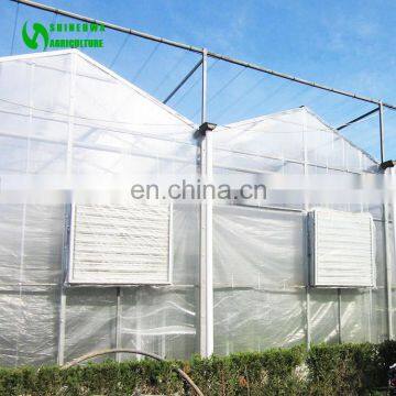 Low Price Complete Polycarbonate Greenhouse Garden Greenhouse With Hydroponic Strawberry Growing System