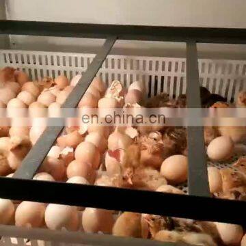 Chicken, Reptile, Bird, Emu, Ostrich, Duck Usage Egg Incubator and Hatcher