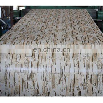 High Quality Pre-Painted Galvanized Steel Sheet / PPGI