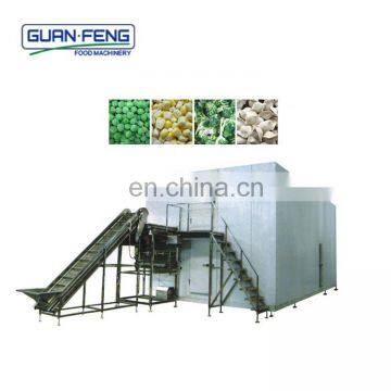 Fluidized quick freeze IQF individual quick freezer frozen french fry  machine