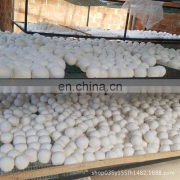 40colors for You Choose Eco Wool Dryer Balls photo-2