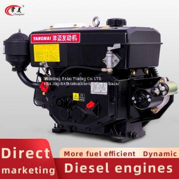 Single Cylinder Water-cooled Diesel Engine 13 HP High-end Marine Diesel Engine Agricultural Diesel Engine photo-2