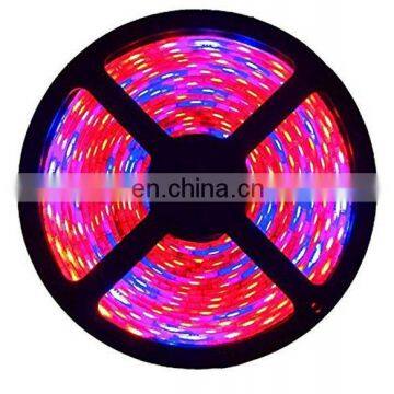 led grow light full spectrum strip 60 leds/m LED  Phyto tape for Seed plants flowers greenhouse