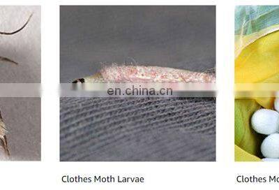 Powerful Moth Traps Strong Glue+paper+pheromone Bait for Clothes Closets Refillable Moth Trap Odor-free Natural 2 Year 7-15days photo-5