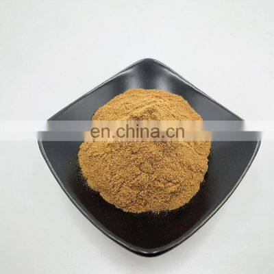 High Quality Reishi Mushroom Extract Ganoderma Lucidum 30% Polysaccharide